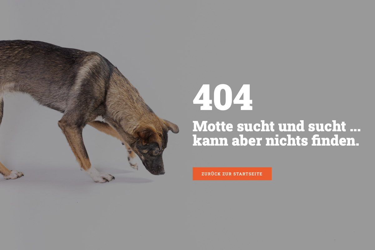 kreative 404 Seiten - Motte sucht etwas